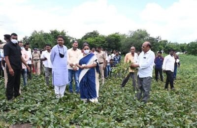 भरपाईचे प्रस्ताव तात्काळ सादर करा – पालकमंत्री यशोमती ठाकूर पालकमंत्र्यांचा अतिवृष्टी भागात दौरा; नांदगाव खंडेश्वर, चांदुर रेल्वे भागाची केली पाहणी