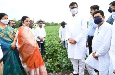 ई-पीक पाहणी हा महाराष्ट्रासाठी व्यापक प्रकल्प – महसूलमंत्री बाळासाहेब थोरात