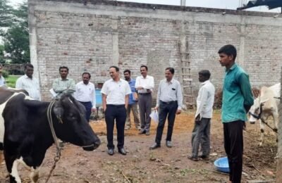 लम्पी चर्मरोग : पशुवैद्यकांनी महाराष्ट्र पशु व मत्स्य विज्ञान विद्यापीठाच्या सुधारित शिफारशींनुसार उपचार करावेत