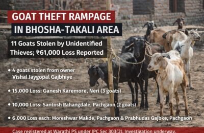 भोसा–टाकळी परिसरात शेळ्याचोरीचा धुमाकूळ; अज्ञात चोरट्यांनी ११ शेळ्या लंपास, ₹६१ हजारांचा मुद्देमाल चोरीला