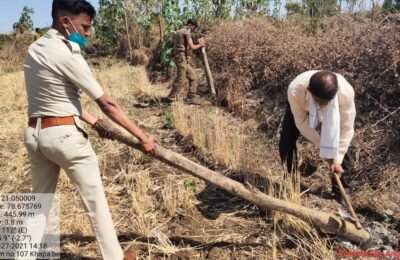 *कोंढाली  वन परिक्षेत्र  के खापा में  संरक्षित  वन  भुमी  पर किया गया अतिक्रमण  हटाया*