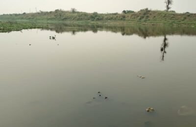 *नागनदीच्या दुषित पाण्याने कन्हान नदी झाली गटारगंगा*  कन्हान, नागनदी संगमाने सावंगी (चापेगडी) परिसर प्रदुषणाच्या विळखळयात.   जिवनदाहीनी कन्हान नदी प्रदुषण मुक्त करून नदीचे संवर्धन व संगोपन करा.