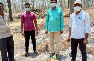 टायगर ग्रुप चे विदर्भ अध्यक्ष पहलवान सचीन कुभंलकर यांच्या वाढदिवसानिमित्त माक्स वाटप व वनविभागाच्या वतीने वृक्षारोपण करण्यात आले
