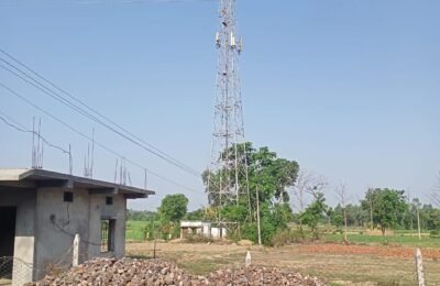 नेटवर्किंग सेवेमुळे ग्राहक त्रस्त