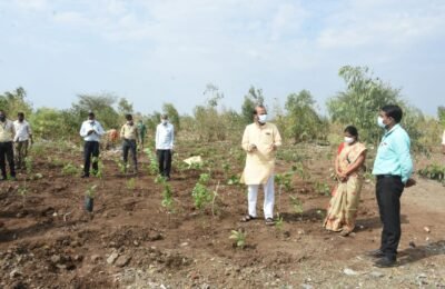 जागतिक पर्यावरण दिन  सिल्लोड नगर परिषद करणार 2 लक्ष वृक्षारोपण  नगराध्यक्षा व उपनगराध्यक्ष यांच्याहस्ते उपक्रमाचा शुभारंभ