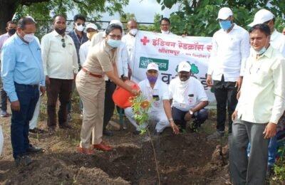 रेड क्रॉस सोसायटी व टिळकनगर उद्योग समूहाच्यावतीने ऑक्सिजन वनराई वृक्षारोपण करताना अतिरिक्त पोलीस अधीक्षक डॉक्टर दिपाली काळे,उपअधीक्षक संदीप मिटके,जनरल मॅनेजर श्री सि आर रमेश,व्यवस्थापक डी एस मोरे,व्यवस्थापक केशव धायगुडे ,हरीश मोरे दिसत आहेत