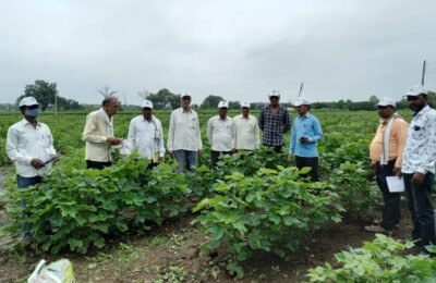 कोंढाली  क्षेत्र  में  कपास तथा सोयाबीन , संतरा फसलों पर के किट पतंगो  से  बाचाव  के लिये  कार्यशाला