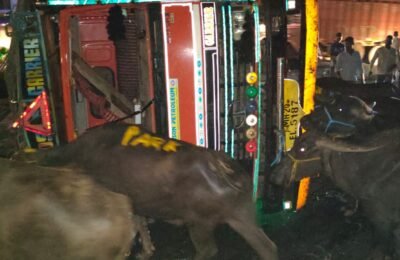 औरंगाबाद  के बूचडखाने  जा रहा ट्रक  पलटा-