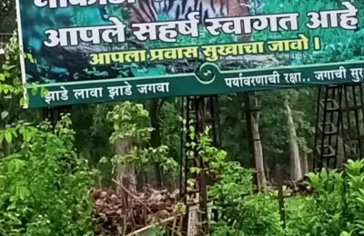 नाकाडोंगरी परीसरात वाघाची दहसत