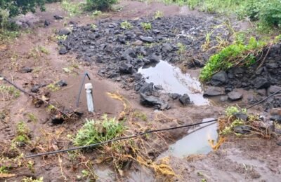 काटोल तहसील  में  मुसलाधार बारिश!  पारडसिंगा  जि प क्षेत्र  मे भारी  तबाही  सोयाबीन-कपास-संतरा-मोसंबी-  की भारीक्षती  बीजली  के एक्टेशन तार  ने बचाया  राजकुमार  को