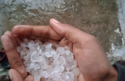 काटोल तहसील के ग्रामीण आंचल में तेज बारिश के साथ ओला वृष्टी