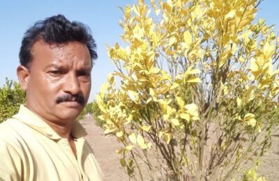 बदलते वातावरण (मौसम)के कारण किसानों की फसलें प्रभावित