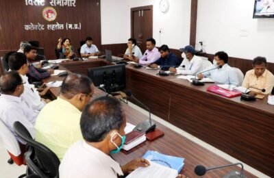 कलेक्टर श्रीमती वंदना वैद्य की उपस्थिति में आज कलेक्ट्रेट कार्यालय की विराट सभागार में समय-सीमा की बैठक आयोजित हुई।