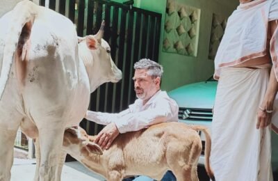 लावारिस ज़ख्मी गाय और उसके नवजात बच्चे को दिया जीवनदान नागपुर सुदामपुरी दिनांक ०५/०६/२०२२ कुछ दिन पहले प्राणी प्रेमी और सामाजिक कार्यकर्ता