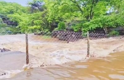 राजा बाबा झरने में जान जोखिम में डाल तेज धारा के बीच घुसकर सेल्फी फोटोग्राफी करते है पर्यटक,   सुरक्षा की दृष्टि से वन विभाग ने लगाई तार जाली