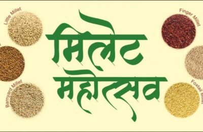 पणन विभागातर्फे २२ पासून मुंबईत मिलेट महोत्सवाचे आयोजन