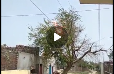 सर्वांना विनंती आहे की आपल्या शेतात कीवा घराजवळील विजेच्या तारे जवळ आसणारी झाडे लाइन बंद करून लगेच तोडून घ्या नाही तर हे पहा काय होते याला बळी न पडता झाडे वेळीच तोडून घ्या ही विनंती👏🏻👏🏻