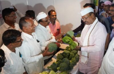 आधुनिक शेतीमुळे शेतकऱ्यांच्या जीवनात आमूलाग्र बदल:कृषिमंत्री अब्दुल सत्तार