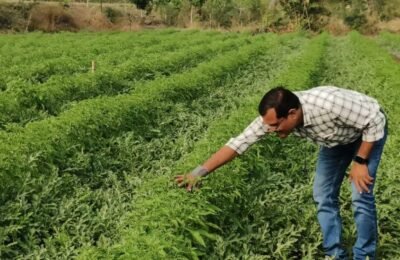 शेतीसह नर्सरी विकसित करून साधली आर्थिक उन्नती