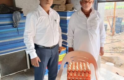 पशुसंवर्धन विभागाच्या सधन कुक्कुट विकास गट योजनेतून कुरुलच्या हणमंत कांबळे यांची प्रगती