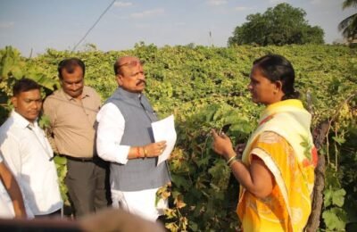 नुकसानग्रस्त शेतकऱ्यांना मदतीसाठी प्रयत्न करणार – पालकमंत्री डॉ. सुरेश खाडे