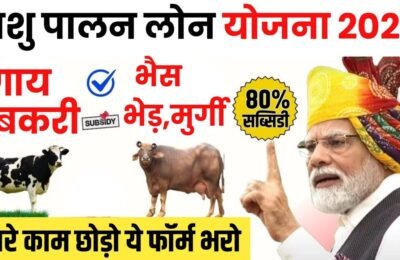 📰 पशुपालनासाठी शासनाकडून कर्ज योजना — शेतकऱ्यांसाठी मोठी संधी!