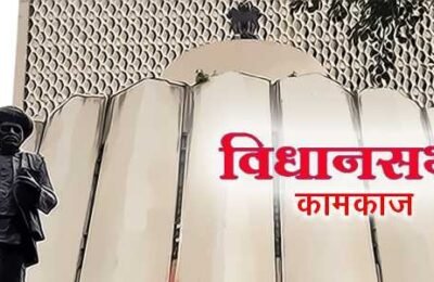 विधानसभा कामकाज