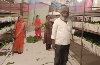 रेशीम शेतीने गणपत मदने यांच्या जीवनाला कलाटणी महात्मा गांधी राष्ट्रीय ग्रामीण रोजगार हमी योजनेतून पावणेतीन लाखांचे अनुदान