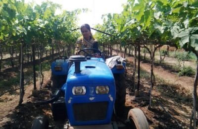 शेतीला मिळाली आधुनिक तंत्रज्ञानाची जोड; भावना निकम यांची कृषीक्षेत्रात यशस्वी घोडदौड