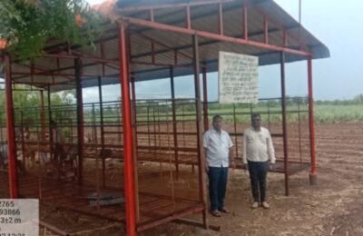 कांदा चाळ योजनेद्वारे बाजार दराच्या अनिश्चिततेवर मात