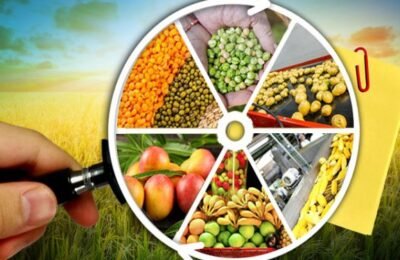 सूक्ष्म अन्न प्रक्रिया उद्योग उभारणीतून रोजगार निर्मिती !